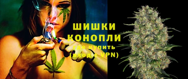 apvp Белокуриха