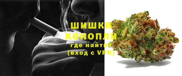 apvp Белокуриха